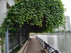 -喷泉公园