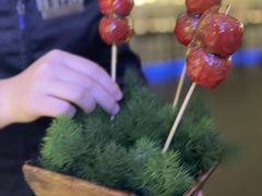 -大董(环贸iapm店)