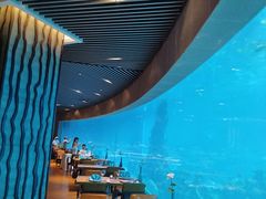 -海棠湾洲际-涛·海底餐厅·美人鱼·自助餐·海底隧道
