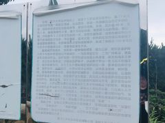 -大罗山风景区