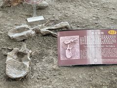 -诸城市恐龙博物馆