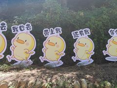 -终南山南五台景区