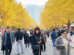 -辽宁大学(崇山校区)