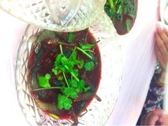 炝虾-玲珑餐厅(陕西南路店)