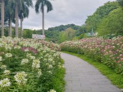 -云溪植物园