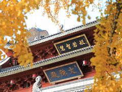 -上海东林寺(金山区)