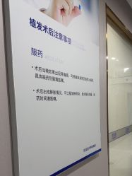 -碧莲盛不剃发植发