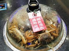 -九月海·海鲜自助(世纪东方店)