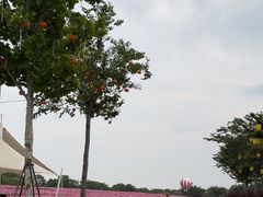 -歌斐颂巧克力小镇