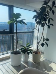 -HEYAN荷妍专业脱毛连锁机构