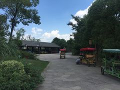 -梁鸿国家湿地公园