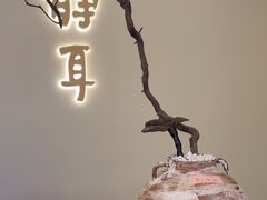 -静耳元気采耳·按摩·SPA(万象前海店)