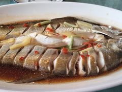-西塘人家•黑金冠本地好店