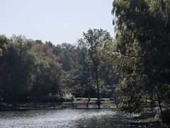 -长广溪湿地公园