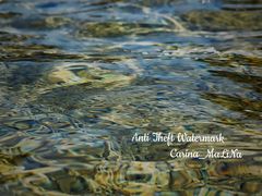 -上海市龙华烈士陵园