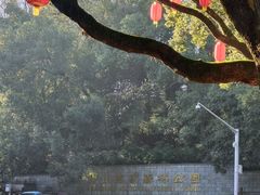 -潜山国家森林公园