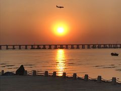 -宝安西湾红树林湿地公园