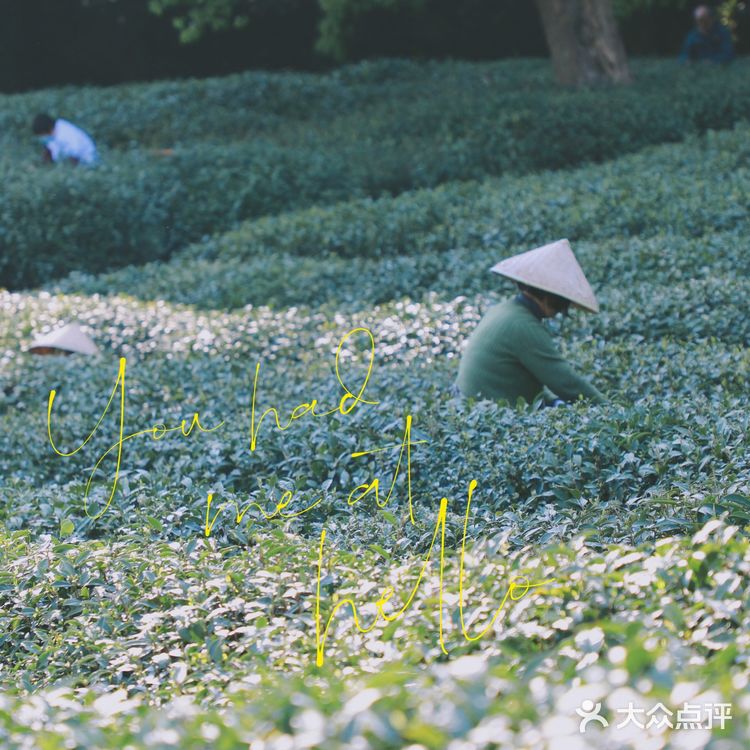 杭州小众景点｜名山名村名茶——龙井村