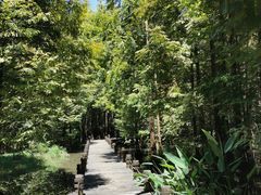 -桤木河湿地公园