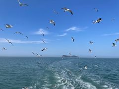 -海驴岛(荣成市)