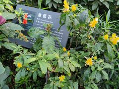 -北京植物园-展览温室