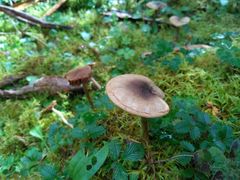 景点-燕子沟风景区