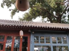 -Sirena海妖日咖夜酒