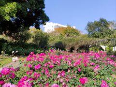 -人民公园(罗湖区)