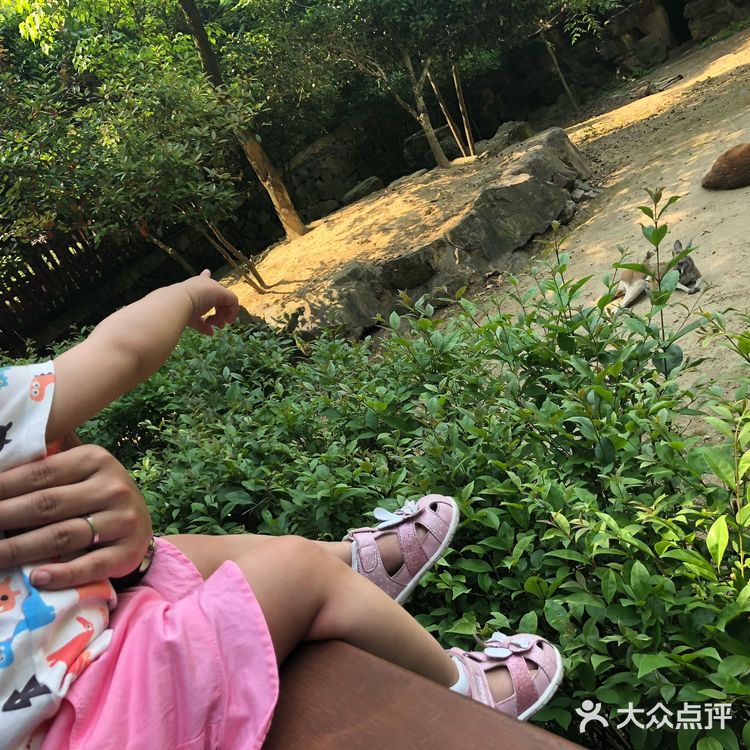 杭州周边亲子游|2岁以下带娃攻略