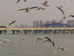 -蠡湖大桥公园
