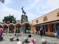 -成都动物园