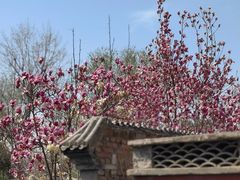-三里河公园