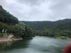 -桃花岭景区