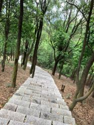 -佛灵湖水上乐园