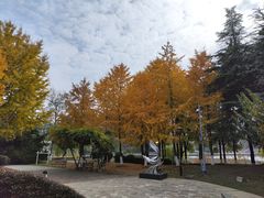 -月湖风景区