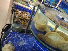 水产区-皇朝海鲜酒店