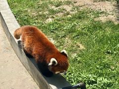 -水上乐园·欢乐世界