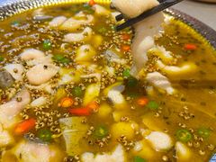 青花椒鱼片-有红鸡毛店·川菜(建设路店)