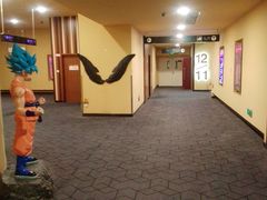 -华谊兄弟影院(IMAX洋桥店)