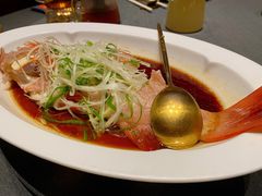 东星斑-锦府园·新台州菜(合生汇店)