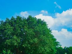 -白沙门生态公园