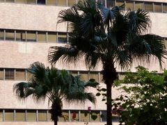 -香港理工大学