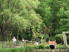 -新江湾城公园