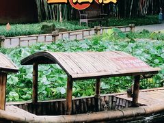 -望江楼公园