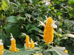 -北京植物园-展览温室