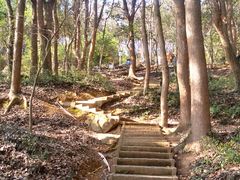 -上海佘山国家森林公园天马山园