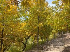 -北京十三陵国家森林公园蟒山景区