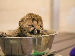 -Mark&Mars Restaurant