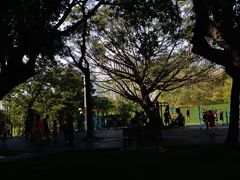 -荔香公园