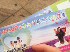 -松山湖梦幻百花洲